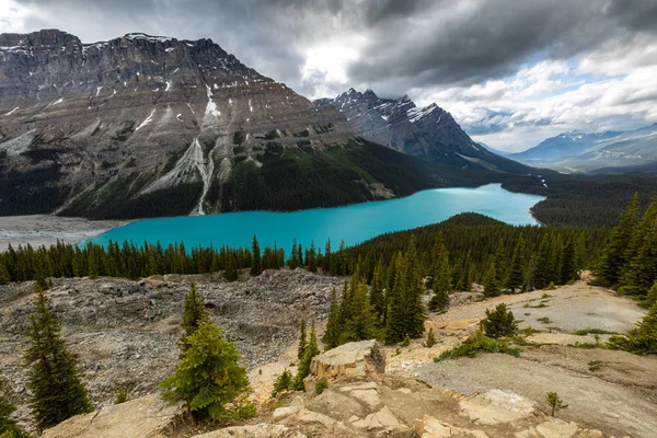 Lago Peyto Del Parque Nacional Banff Canadá — Foto de Stock