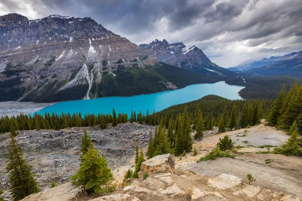 Lago Peyto Del Parque Nacional Banff Canadá — Foto de Stock