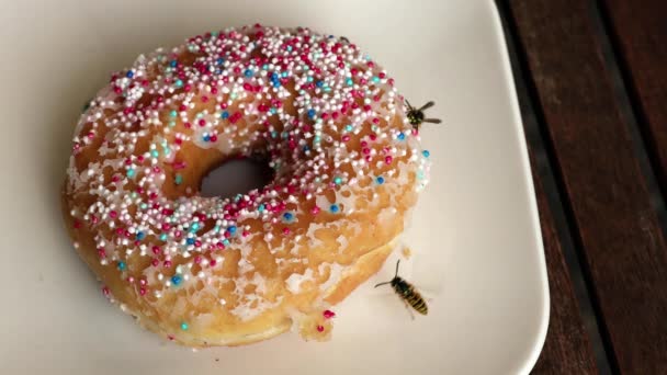 Gıda Üzerinde Tehlikeli Bir Wasp — Stok video
