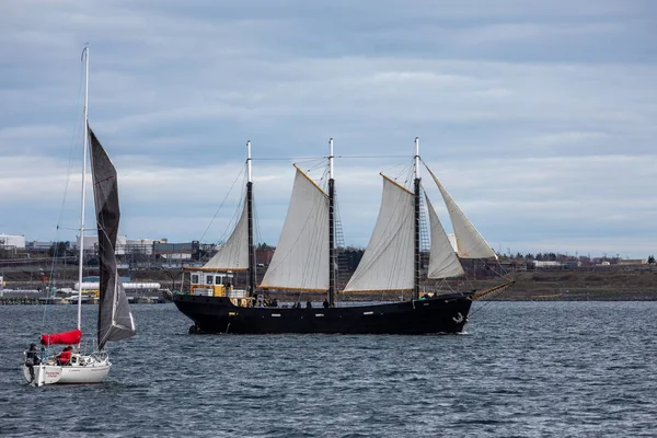 Barco Vela Porto Halifax Anos Maio 2019 — Fotografia de Stock