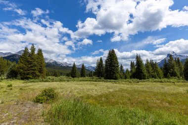 Kanada Banff Milli Parkı Peyzaj