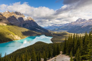 Kanada'daki Banff Ulusal Parkı Peyto Gölü