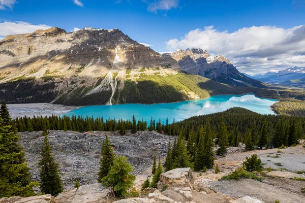 Peyto Banff Nemzeti Park Kanadában — Stock Fotó