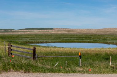 Alberta Kanada'nın Çayır ve Büyük Ovaları