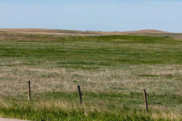 Prairie Great Plains Canada Alberta — Stock Photo, Image