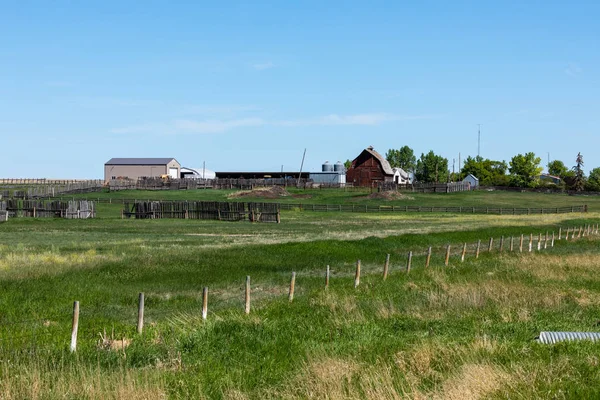 Gård Och Jordbruk Alberta Kanada — Stockfoto