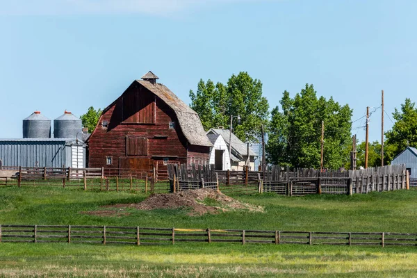 Landbrug Landbrug Alberta Canada - Stock-foto