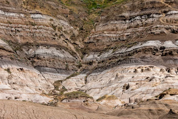 Hoodoos Alberta Drumheller Kanadában — Stock Fotó