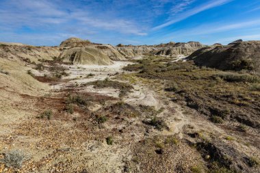 Badland ve Red Deer Nehri Kanyon Alberta Kanada