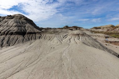 Badland ve Red Deer Nehri Kanyon Alberta Kanada