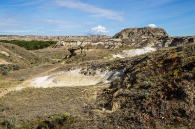 Badland ve Red Deer Nehri Kanyon Alberta Kanada