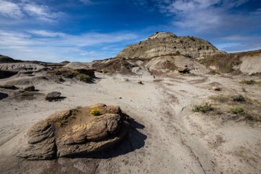 Badland ve Red Deer Nehri Kanyon Alberta Kanada