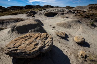 Badland ve Red Deer Nehri Kanyon Alberta Kanada