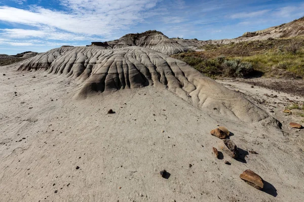 Badland ve Red Deer Nehri Kanyon Alberta Kanada