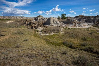 Badland ve Red Deer Nehri Kanyon Alberta Kanada