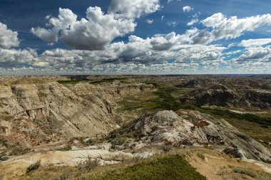 Badland ve Red Deer Nehri Kanyon Alberta Kanada