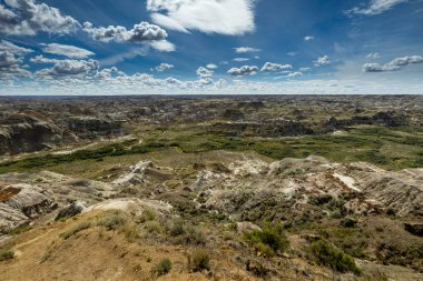 Badland ve Red Deer Nehri Kanyon Alberta Kanada