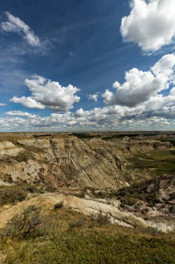 Badland ve Red Deer Nehri Kanyon Alberta Kanada