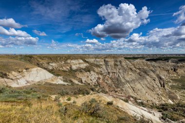 Badland ve Red Deer Nehri Kanyon Alberta Kanada