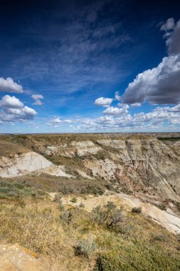 Badland ve Red Deer Nehri Kanyon Alberta Kanada