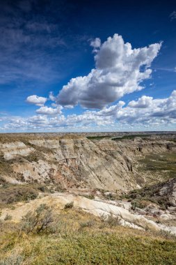 Badland ve Red Deer Nehri Kanyon Alberta Kanada