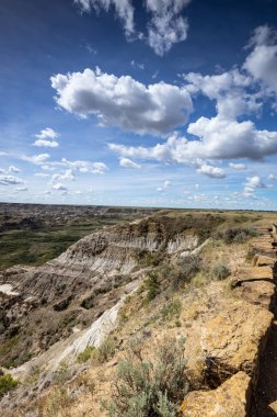 Badland ve Red Deer Nehri Kanyon Alberta Kanada