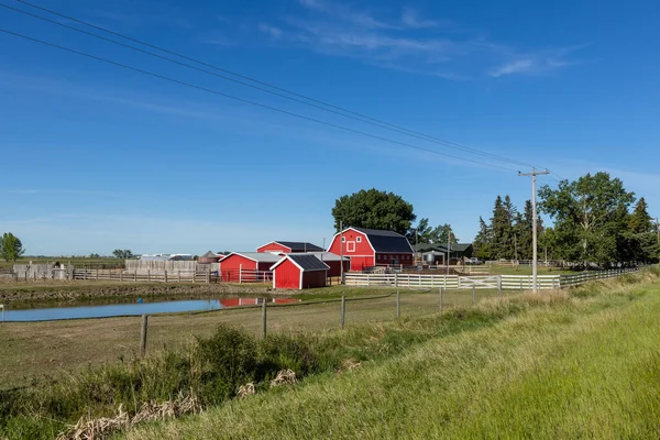 Gård Och Jordbruk Alberta Kanada — Stockfoto