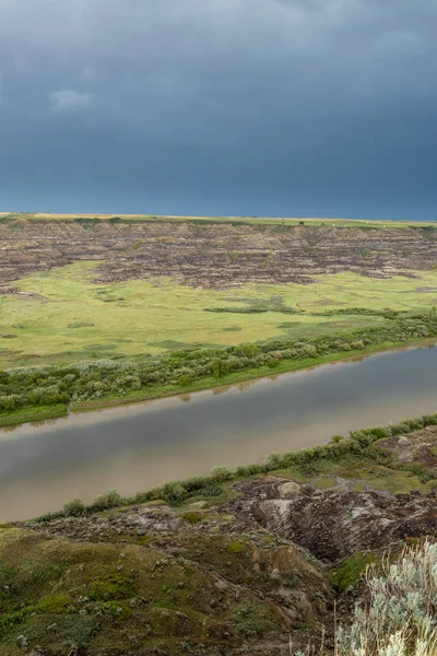 Червоний Олень Долини Річки Дггеллер Альберті Канаді — стокове фото
