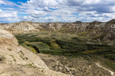 Kanada'da Alberta Çayırı'nda Badlands