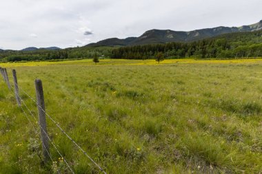Kanada'da Rocky Dağları Landschape