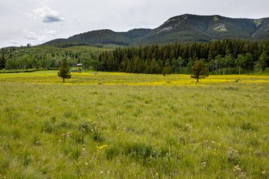 Kanada'da Rocky Dağları Landschape