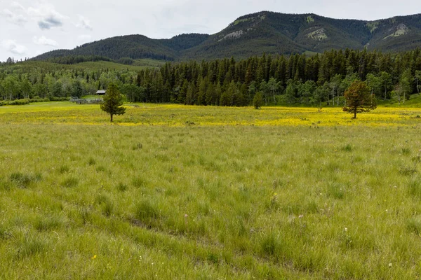 Landschape Steniga Bergen Kanada — Stockfoto