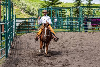 Rodeo ve Bronco Riding Pincher Creek Kanada'da, 16 Haziran 2019