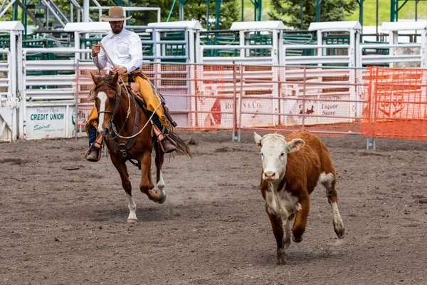 Rodeo Och Bronco Ridning Pincher Creek Canada Juni 2019 — Stockfoto