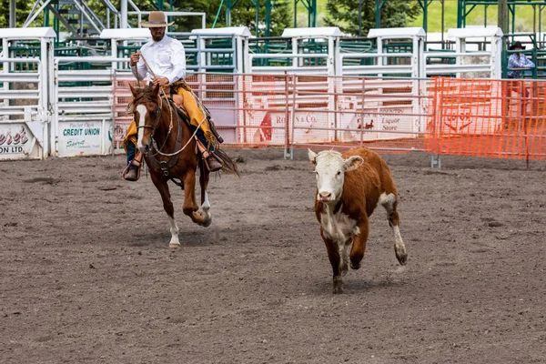 Rodeo Bronco Riding Pincher Creek Canada June 2019 — Stock Photo, Image