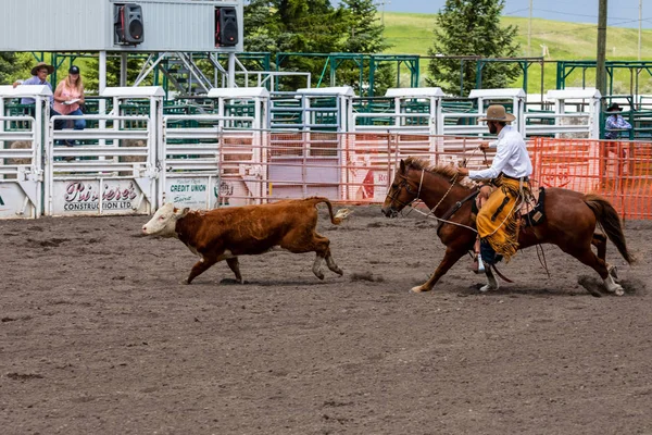 Rodeo Och Bronco Ridning Pincher Creek Canada Juni 2019 — Stockfoto