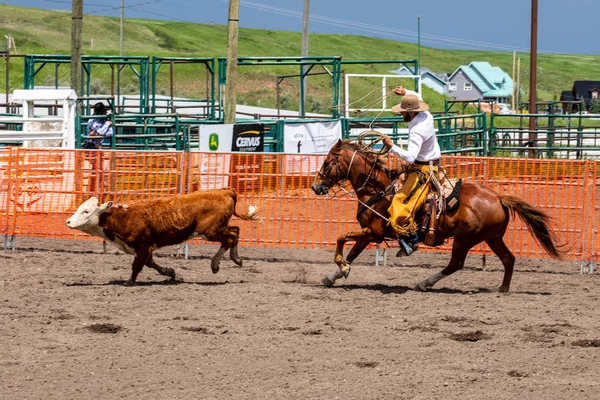 Rodeo Och Bronco Ridning Pincher Creek Canada Juni 2019 — Stockfoto