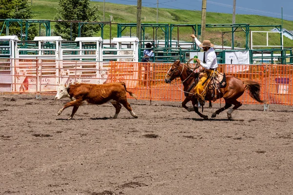 Rodeo Och Bronco Ridning Pincher Creek Canada Juni 2019 — Stockfoto