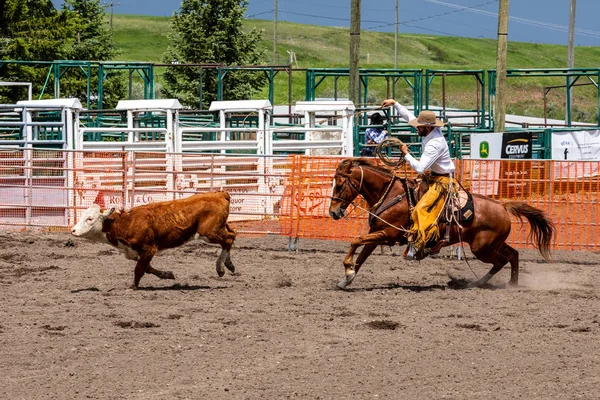 Rodeo Och Bronco Ridning Pincher Creek Canada Juni 2019 — Stockfoto