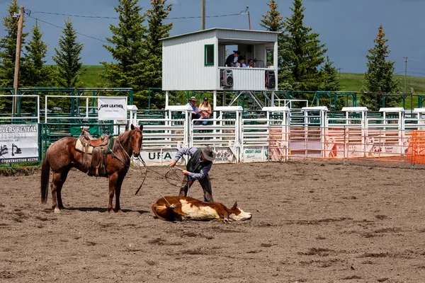 Rodeo Bronco Riding Pincher Creek Kanada Haziran 2019 — Stok fotoğraf