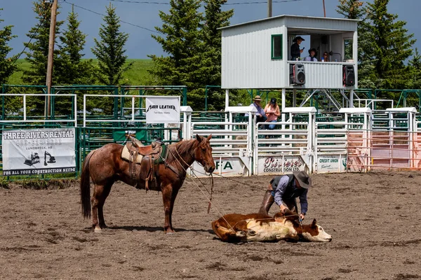 Rodeo Bronco Riding Pincher Creek Kanada Haziran 2019 — Stok fotoğraf
