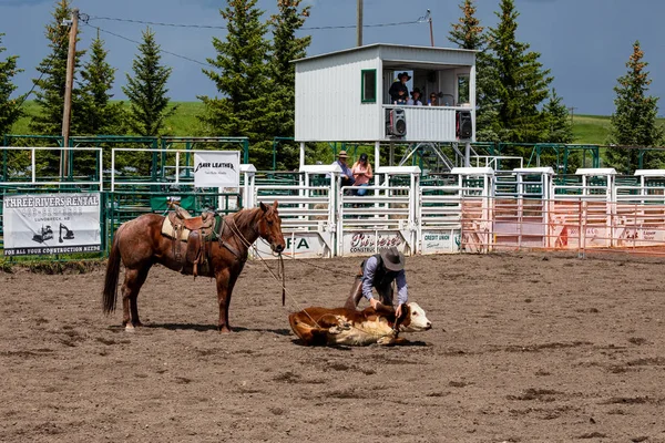 Rodeo Bronco Riding Pincher Creek Kanada Haziran 2019 — Stok fotoğraf