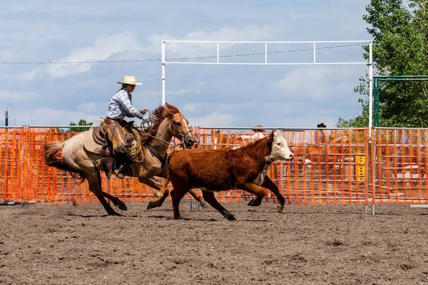 Rodeo Bronco Riding Pincher Creek Canada June 2019 — Stock Photo, Image