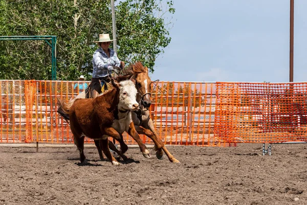 Rodeo Bronco Rijden Pincher Creek Canada Juni 2019 — Stockfoto