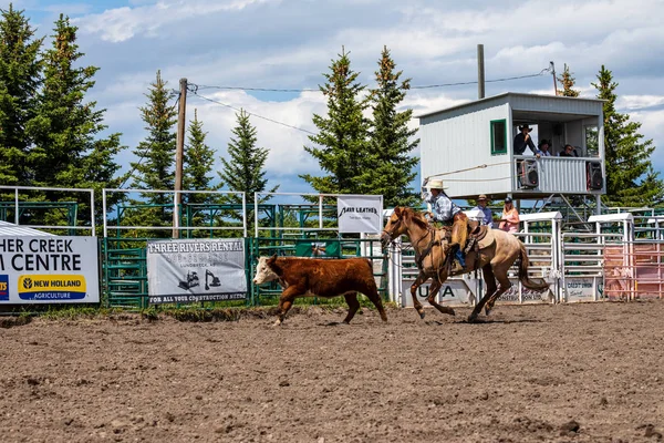 Rodeo Bronco Riding Pincher Creek Kanada Haziran 2019 — Stok fotoğraf