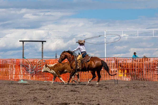 Rodeo Bronco Riding Pincher Creek Canada June 2019 — Stock Photo, Image