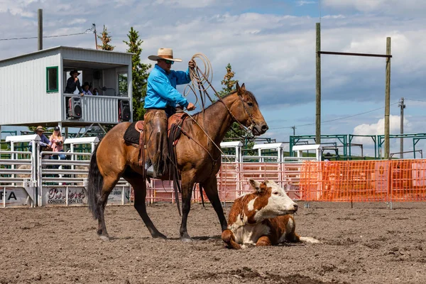 Rodeo Bronco Riding Pincher Creek Kanada Haziran 2019 — Stok fotoğraf