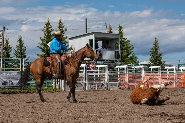 Rodeo Bronco Riding Pincher Creek Kanada Haziran 2019 — Stok fotoğraf