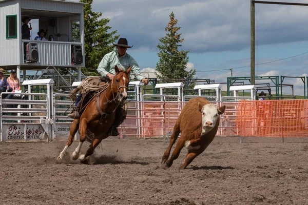 Rodeo Och Bronco Ridning Pincher Creek Canada Juni 2019 — Stockfoto