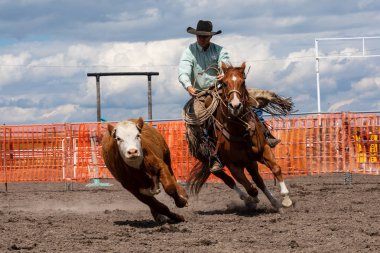 Rodeo ve Bronco Riding Pincher Creek Kanada'da, 16 Haziran 2019
